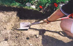 dig_step.jpg (26702 bytes)