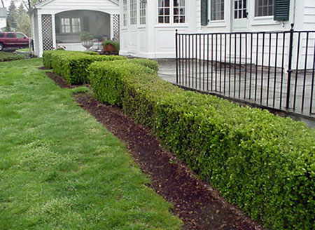 Local/Near Me Landscape Company - 2018 We Do It All!! (LOW COST Landscape Gallery - Local/Near Me Landscape Company - 2018 We Do It All!! (LOW COST