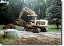 stump removal